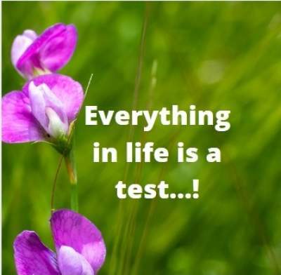 life is a test sms