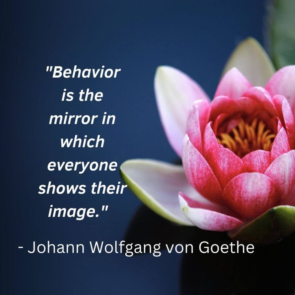 behavior is the mirror quotes