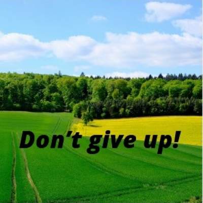 don't give up quotes for whatsapp status