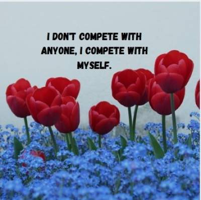 i don't compete quotes fpr whatsapp status