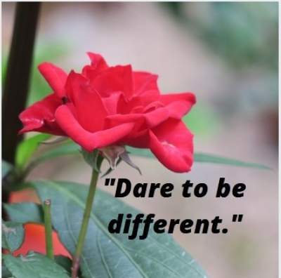 dare to be different