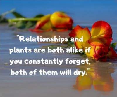 happy relationship status quotes for fb and whatsapp