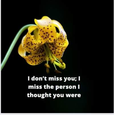 i miss you status quotes for whatsapp 