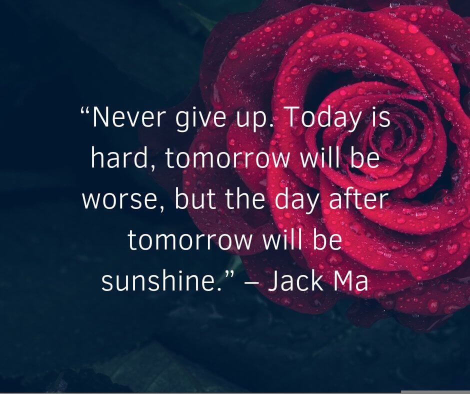 never give up jack ma quotes