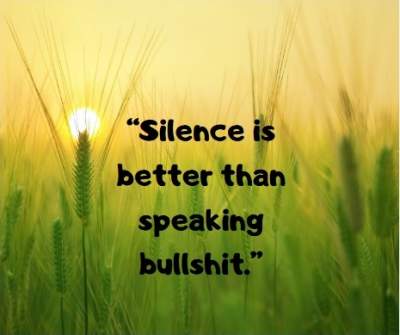 Download silence is better than bullshit status quotes