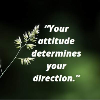 Status quotes on attitude defines direction