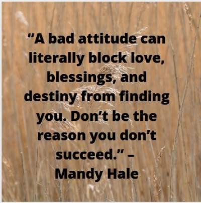 bad attitude status quotes by mandy halein english