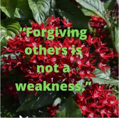 forgiving is not weakness