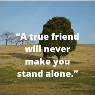 status quotes on stand alone and friendship