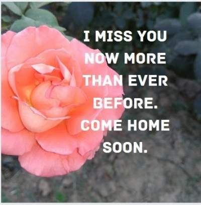 i miss you more than ever status
