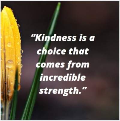kindness is a choice status quote