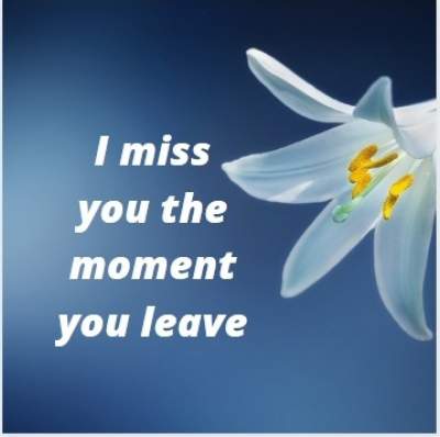 nice status quotes on i miss you