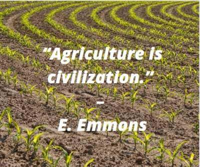 quotes on agriculture is the civilization