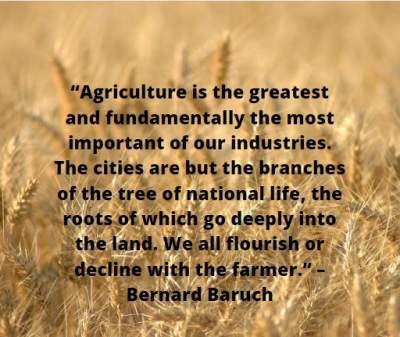 quotes on agriculture industry