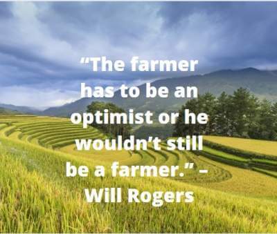 quotes on optimistic farmer