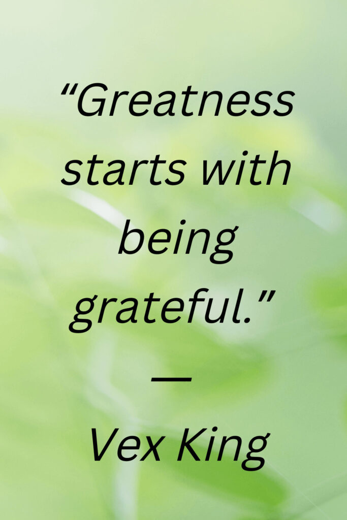 being grateful quote by Vex King