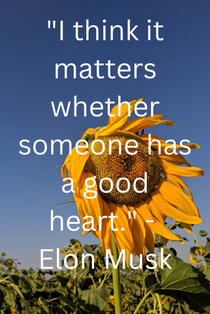 elon musk quotes on heart