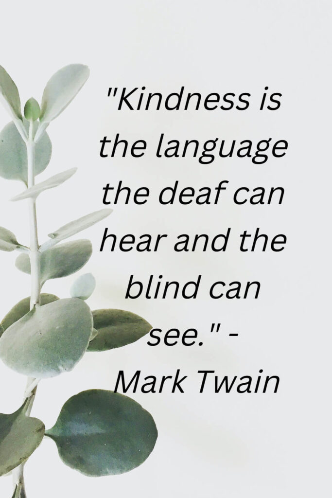 most famous quote on kindness
