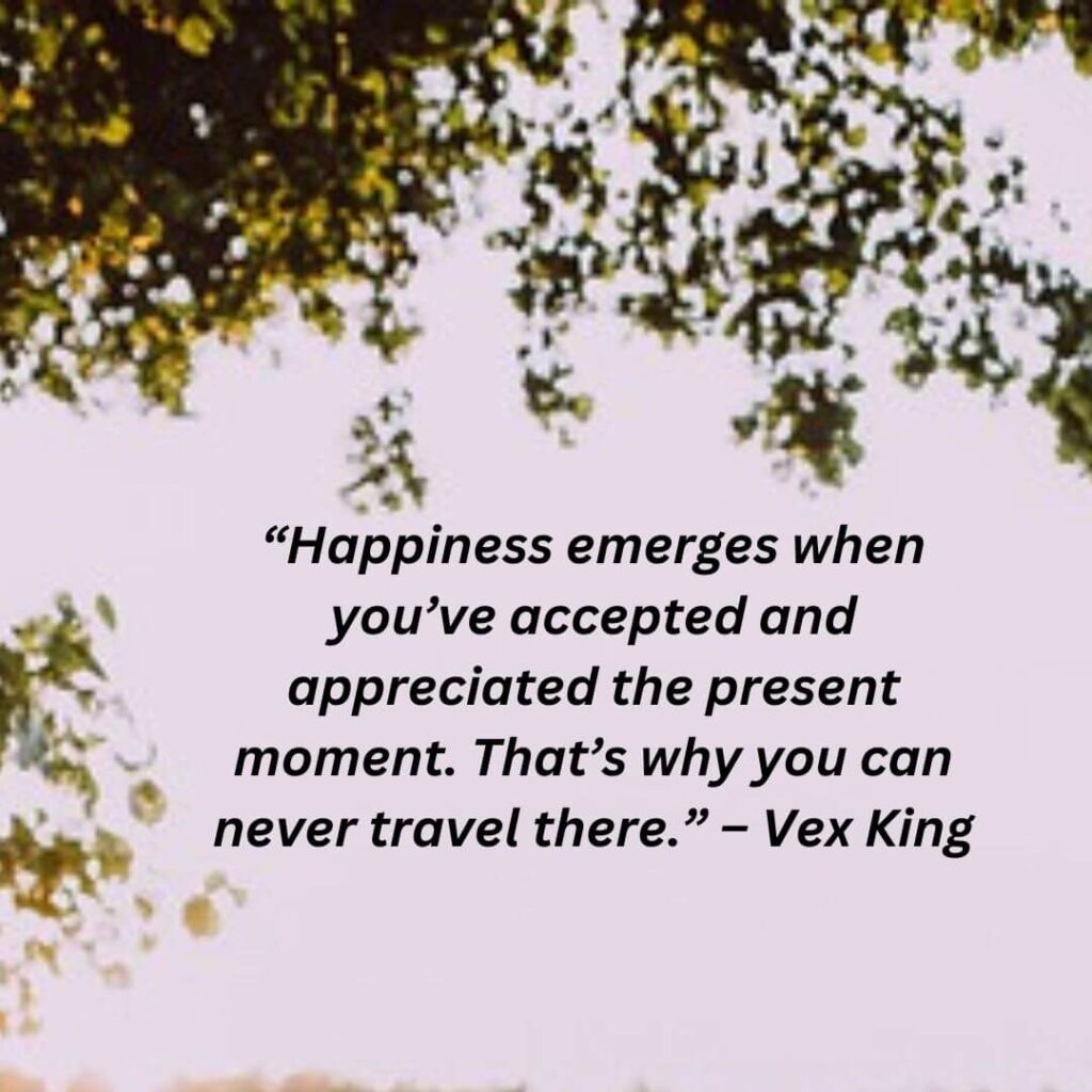 vex king quotes on happiness