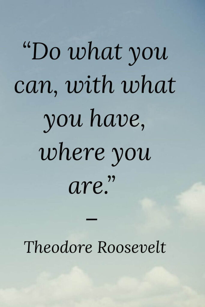 do with what you have short quote