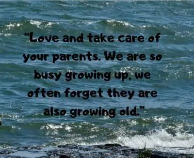 love your parents status quotes for fb and whatsapp