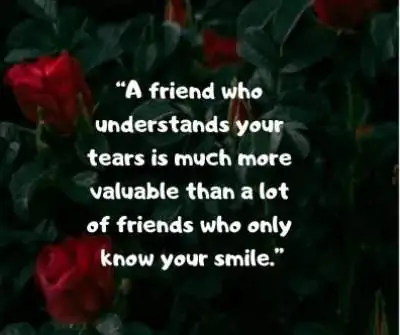 friendship status quotes for fb and whatsapp