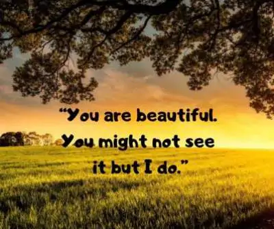 beautiful face status quotes in english