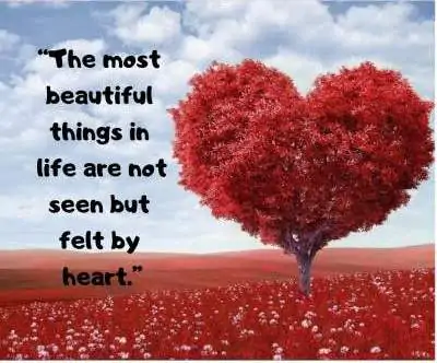 beautiful feeling status for fb and whatsapp