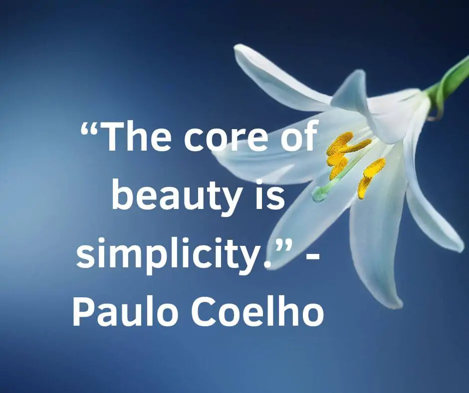 beauty is simplicity quote