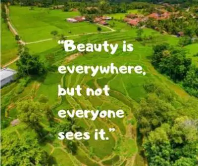 beauty status images for whatsapp DP