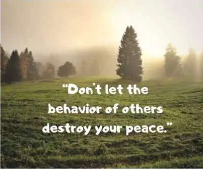 behavior status quotes for whatsapp