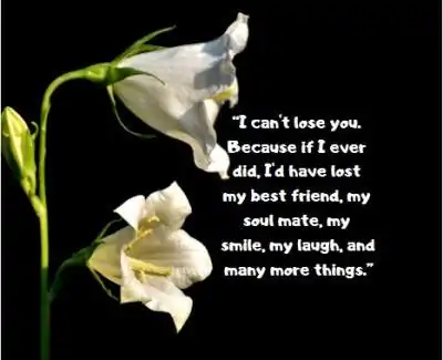 best friend status quotes for whatsapp and fb