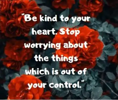 best whatsapp status quotes on heart