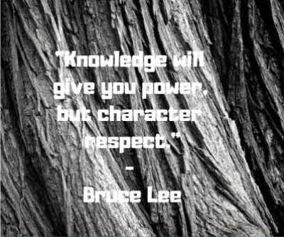 bruce lee quotes respect and knowledge