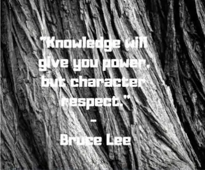 bruce lee quotes respect and knowledge