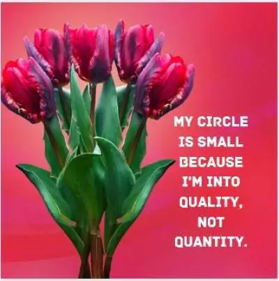 friend circle status quotes