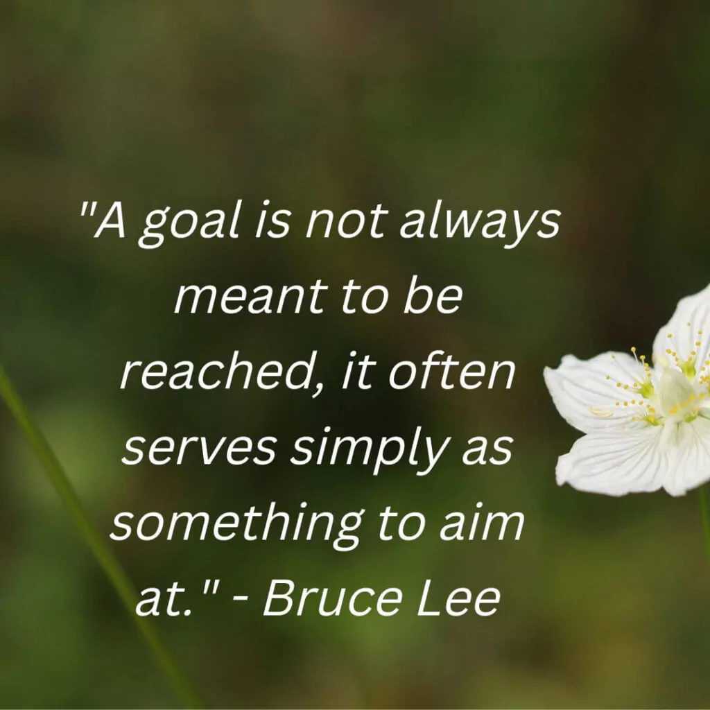 Bruce Lee quotes on goal and aim