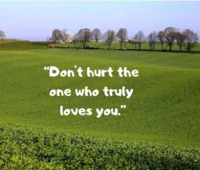 don't hurt love status for whatsapp and fb