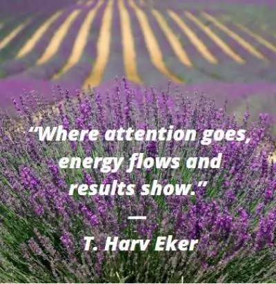 inspirational caption ideas for instagram