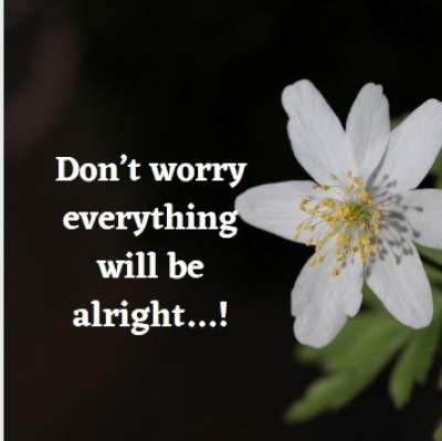 positive status quotes on worry