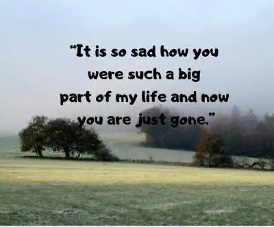 sad emotional quotes for whatsapp status