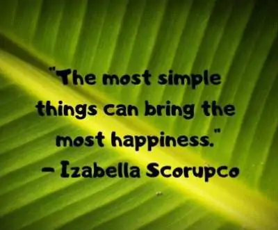 the most simple things status quotes