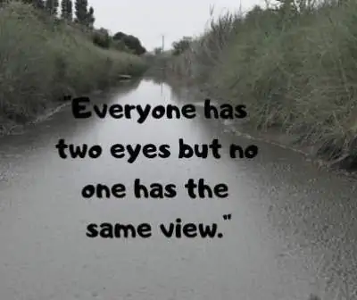 two line status on eyes for fb and whatsapp 