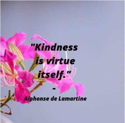 Quotes on kindness is virtue