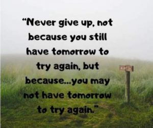 10+ Never Give Up status Quotes for Whatsapp - dpquotes