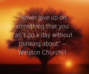 10+ Never Give Up status Quotes for Whatsapp - dpquotes