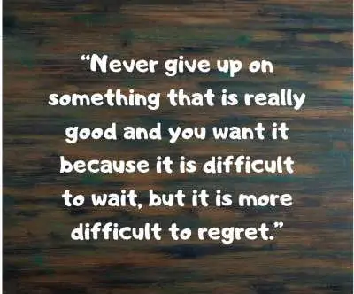 never give up status quotes for fb and whatsapp