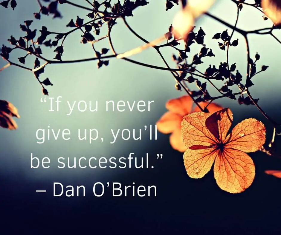 never give up on success quotes