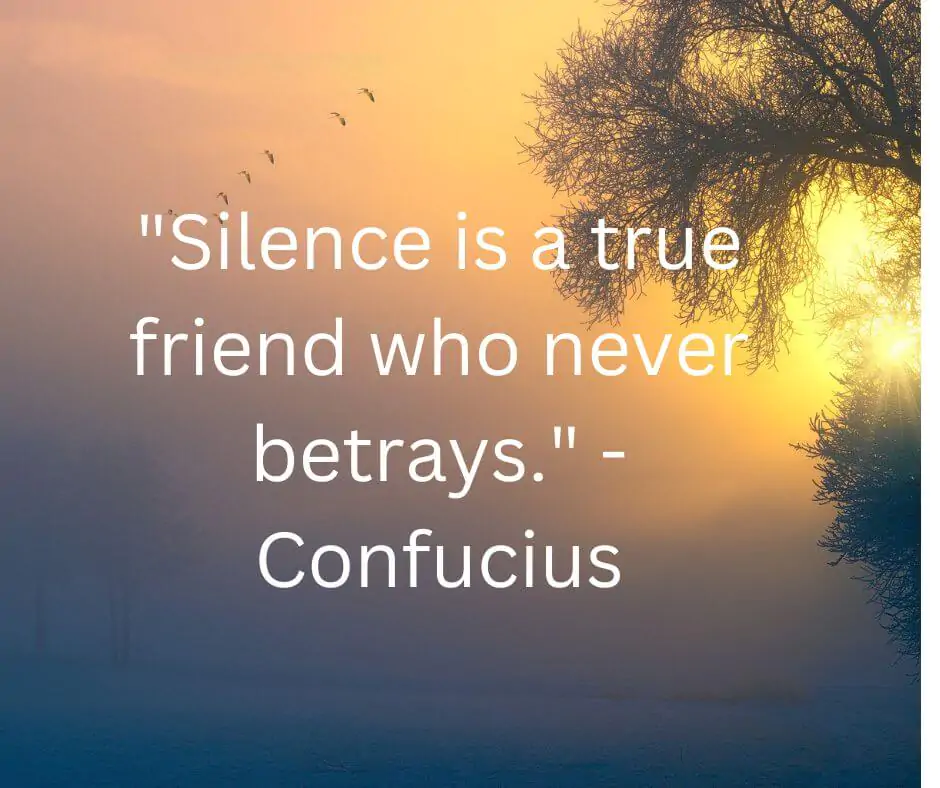 silence is a true friend