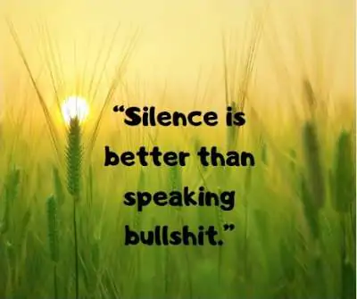 Download silence is better than bullshit status quotes